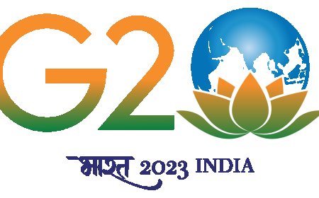 भारत एक महत्वपूर्ण आर्थिक देश है और जी-20 में एक महत्वपूर्ण भूमिका निभाता है।  भारत