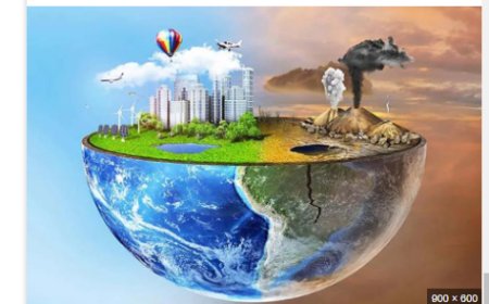 प्रदूषण: कारगर उपाय और उदाहरण