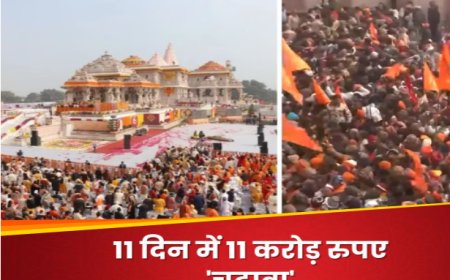 11 दिन में 25 लाख श्रद्धालुओं ने रामलला के दर्शन किए दान पात्र में  11 करोड़ रुपए
