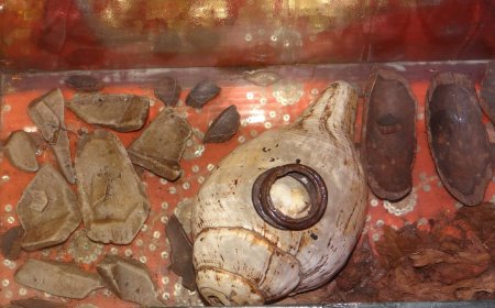 आज से 600 वर्ष पूर्व 'बाबा काशीदासजी महाराज' द्वारा भगवान शिवजी की 12 वर्ष अमरनाथ गुफा में