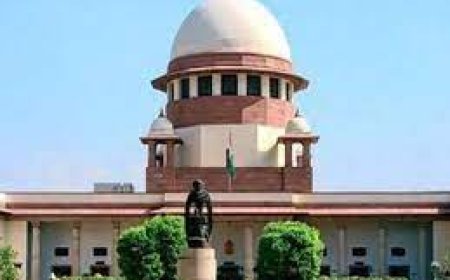 जनता की अदालत में परखी जाएंगी दो अधिवक्ताओं की दलीलें