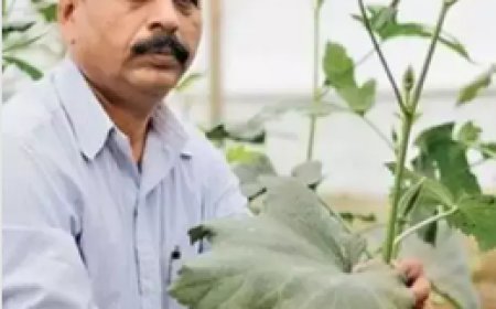 कभी थे ऑफिस बॉय, अब इंटीग्रेटेड फार्मिंग से करते हैं लाखों की कमाई