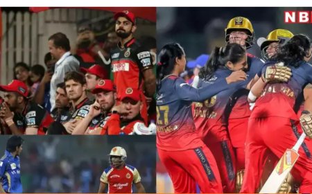 हार... लड़कियों ने खत्म किया लड़कों का सूखा, फाइनल में RCB को आखिकार मिली जीत