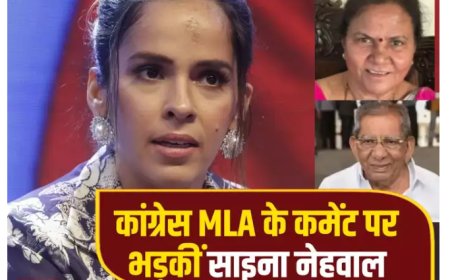 भाजपा प्रत्याशी पर अभद्र टिप्पणी के लिए कांग्रेस विधायक को साइना ने फटकारा