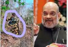 छत्तीसगढ़ के कांकेर में 29 नक्सली ढेर : अमित शाह