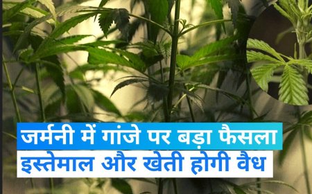 जर्मनी में गांजे को वैध बनाने का नया कदम