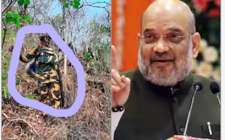 छत्तीसगढ़ के कांकेर में 29 नक्सली ढेर : अमित शाह