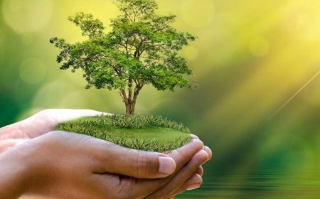 प्रकृति का शासन: धरती पर कोई नहीं टिक सका