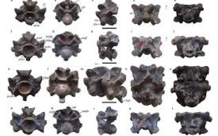 गुजरात : वासुकि नाग के अस्तित्व पर लगी विज्ञान की भी मुहर