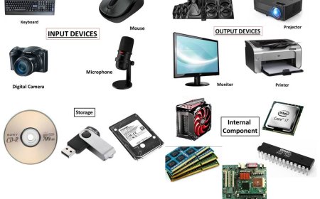 what is Hardware , software , networking , security, data management , cloud computing , cybersecurity , artificial intelligence , machine learning 