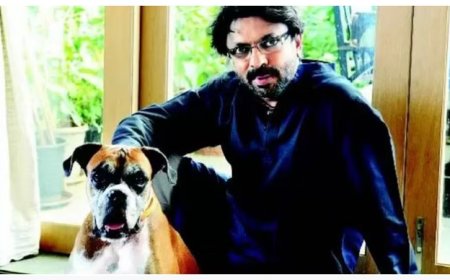 संजय लीला भंसाली के हाथ से निकलने वाली थी यह परियोजना, जानिए कैसे मिली दूसरी बार मौका