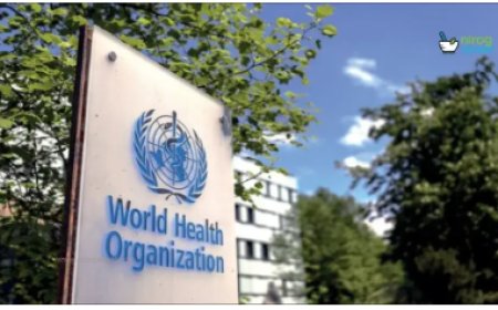 सीसीआरएएस और डब्ल्यूएचओ का पारंपरिक चिकित्सा अनुसंधान पर राष्ट्रीय परामर्श