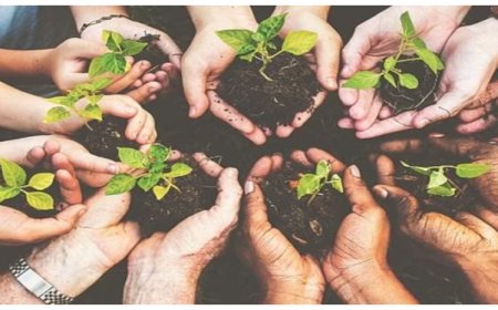 राष्ट्रीय राजधानी क्षेत्र में प्रदूषण से निपटने को इस साल लगेंगे 4.5 करोड़ पौधे