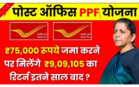 पोस्ट ऑफिस पीपीएफ योजना पर फैक्ट चेक रिपोर्ट