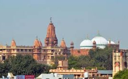 अब जोर पकड़ रही ईदगाह सर्वे की मांग