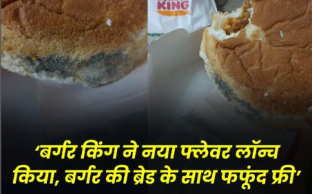 बर्गर किंग ने लॉन्च किया 'नया फ्लेवर', ग्राहकों ने की शिकायत, ज़ोमैटो और बर्गर किंग ने दी प्रतिक्रिया