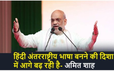 हिंदी को अंतरराष्ट्रीय भाषा बनाने का आ गया समय : शाह