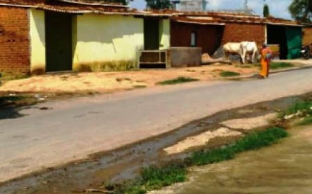 बिहार के छात्रों का नवाचार: फल और सब्जियों में पेस्टिसाइड्स की पहचान करने वाली मशीन विकसित