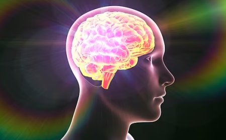  मानव स्वास्थ्य और पर्यावरण निष्क्रियता की कीमत  - विजय गर्ग 