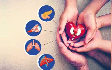 अंगदान को बढ़ावा देने को नियुक्त करने होंगे स्थायी प्रत्यारोपण संयोजक