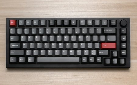 Use of Function Keys (F1 to F12) in Computer