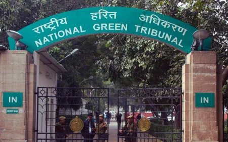 एनजीटी ने  मालकानगिरी में  वन भूमि पर अवैध कब्जा कर इसलामनगर” बनाये जाने के मामले को लिया स्वतः संज्ञान