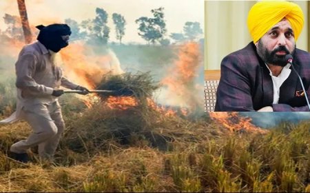 पंजाब में पराली बनी जान की दुश्मन, प्रदूषण का स्तर रेड जोन में,  CM भगवंत को सूझ रही कॉमेडी