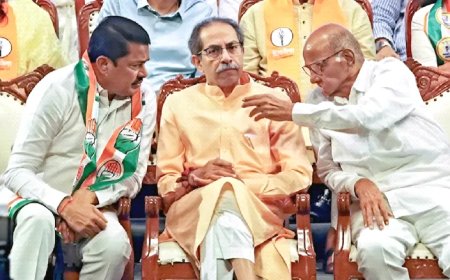 #महा विकास अघाड़ी : शरिया-सत्ता का पत्ता