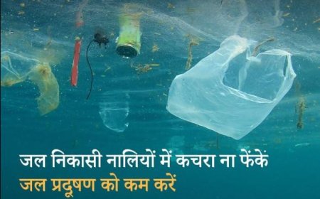 भारत में वायु प्रदूषण और जल को बचने लिए उठाने होंगे सख्त कदम : विजय गर्ग 