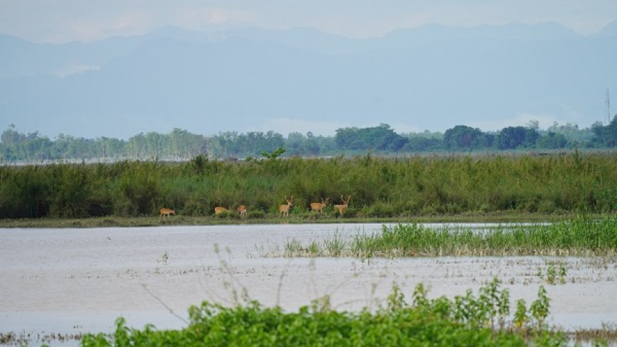 Bijnor Mahotsav: Celebrating a Ramsar Site & The Art of Living's Remarkable Role in Community-led Conservation