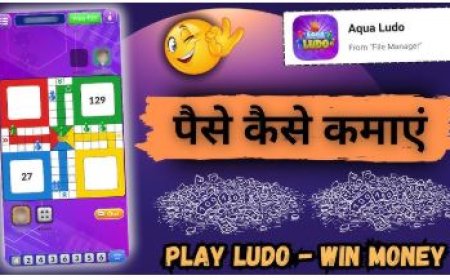घर बैठे पैसे कमाने का शानदार तरीका एक्वा लूडो ऐप, Aqua Ludo App is a great way to earn money sitting at home