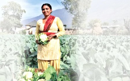 कुदरत की मदद बढ़ाती उपज