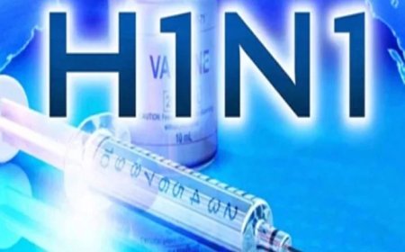 गुजरात में स्वाइन फ्लू का कहर : दाे महीने में 22 लोगों की मौत, अब तक 1682 मामले दर्ज