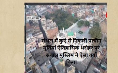 संभल में कुएं से निकलीं प्राचीन मूर्तियां ऐतिहासिक धरोहर पर सवाल मुस्लिम ने ऐसा क्यों किया