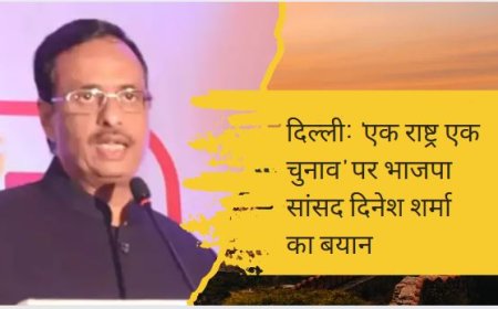 दिल्ली: 'एक राष्ट्र एक चुनाव' पर भाजपा सांसद दिनेश शर्मा का बयान