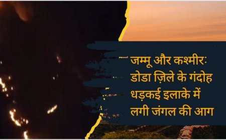 जम्मू और कश्मीर: डोडा ज़िले के गंदोह धड़कई इलाके में लगी जंगल की आग, विभाग ने की आग बुझाने की कोशिश