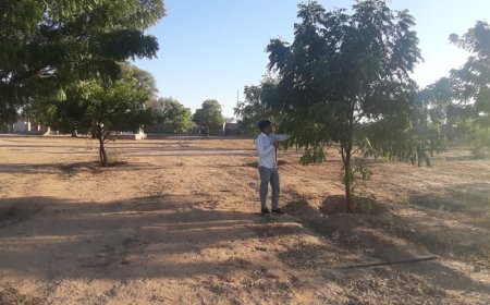 जीवन के लिए जरूरी हैं पेड़-पौधे, पर्यावरण का महत्व समझें: अनोप भाम्बु