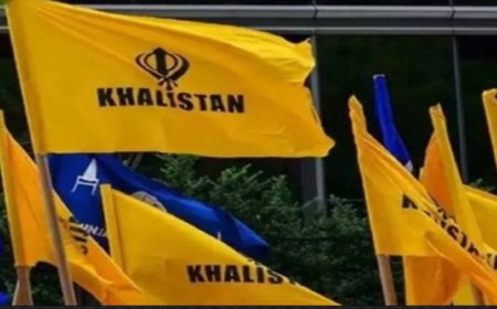 सिखों की छवि बिगाड़ रहे खालिस्तान समर्थक, भारत और खालिस्तान पर क्या विचार ये पूछ रहे सवाल, ब्रिटेन के सांसद ने दी नसीहत