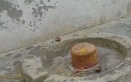 मजार की दीवार में शिवलिंग को कैद करने का आरोप, हिंदू समाज ने मंदिर निर्माण की उठाई मांग