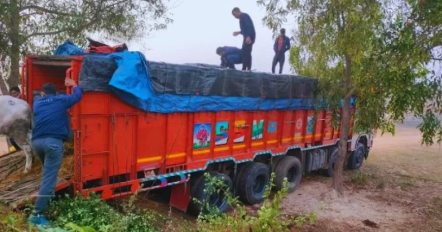 ओडिशा में बढ़ रही हैं गौ तस्करी की घटनाएं, पिछले 72 घंटों में 4 जिलों से मामले सामने आए