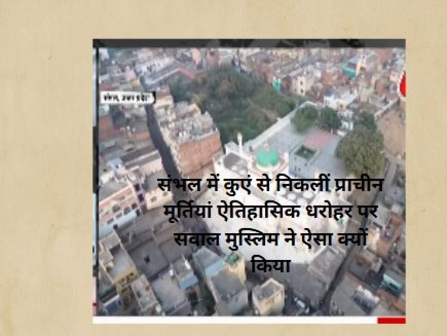 संभल में कुएं से निकलीं प्राचीन मूर्तियां ऐतिहासिक धरोहर पर सवाल मुस्लिम ने ऐसा क्यों किया