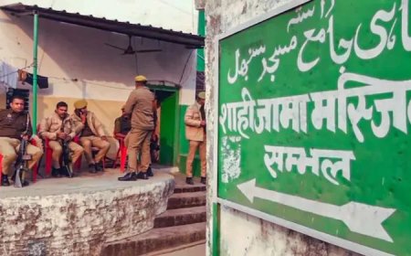 संभल की शाही जामा मस्जिद के सर्वे में कमल के फूल, मंदिर की घंटी, बरगद के पेड़ और कलश के मिले निशान