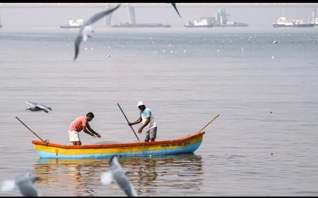 भारत ने पाकिस्तान की जेलों में बंद 181 भारतीय कैदियों को रिहा करने को कहा, सजा पूरी करने के बाद भी जेल में