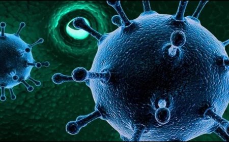 कोरोना के बाद चीन से निकला एक और वायरस, दावा-देश में इमरजेंसी घोषित, इन पर हो रहा सबसे अधिक असर