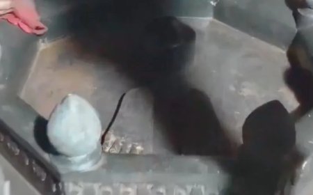 पटना: खुदाई में मिला 500 साल पुराना शिव मंदिर, लोगों ने ‘हर हर महादेव’ का नारा लगाकर शुरू की पूजा-अर्चना