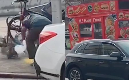 न्यूयॉर्क में सड़क से जिंदा कबूतर पकड़कर हलाल फूड कार्ट में ले गया विक्रेता, वायरल वीडियो देखकर भड़के यूजर्स