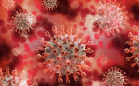 चीन का HMPV वायरस भारत पहुंचा, बेंगलुरु में 8 महीने की बच्ची संक्रमित