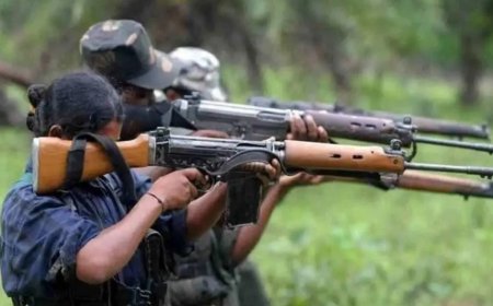 छत्तीसगढ़ : सुकमा-बीजापुर सीमा पर मुठभेड़ में तीन नक्सली ढेर