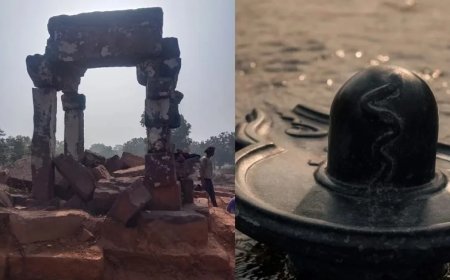 दमोह में मिला प्राचीन शिवलिंग, जलाधारी और नागदेव की प्रतिमा