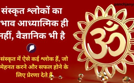 संस्कृत के श्लोकों को सुनने से हो सकता है मानसिक बीमारियों का इलाज, रिसर्च में खुलासा